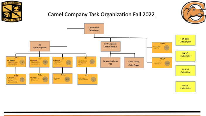 Campbell Company Task Org : Roles & Purposes by on Prezi