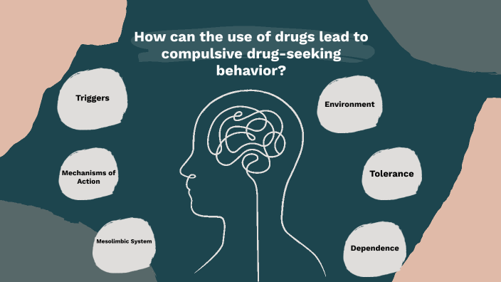 How can the use of drugs lead to compulsive drug-seeking behavior? by ...