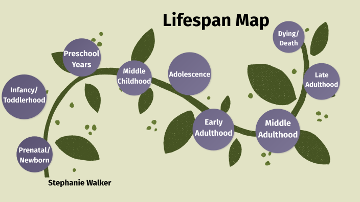 Lifespan Map by Stephanie Walker on Prezi