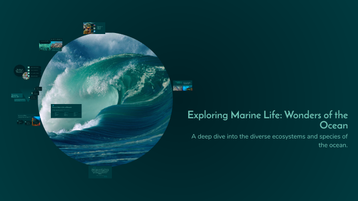 Exploring Marine Life: Wonders of the Ocean by Elina Annabel on Prezi