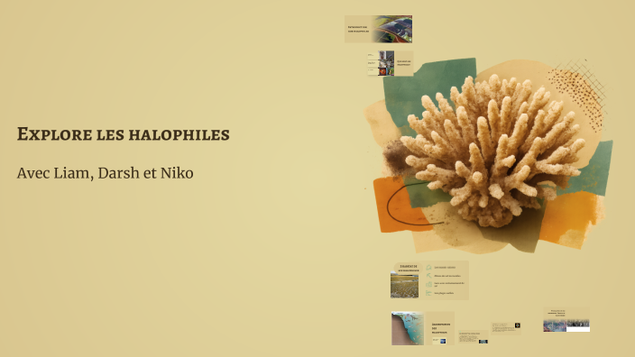 Halophilic Archaea by Darsh Modi on Prezi