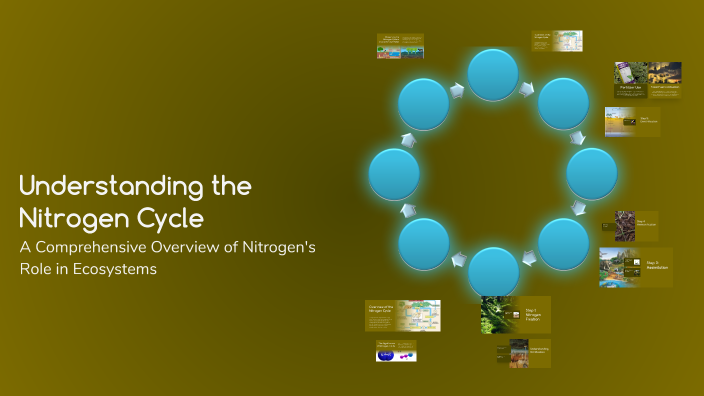 Understanding the Nitrogen Cycle by Nick Cannon on Prezi