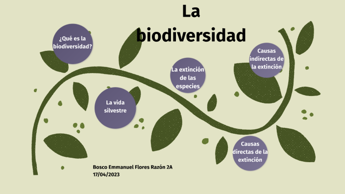 La biodiversidad by bosco flores on Prezi