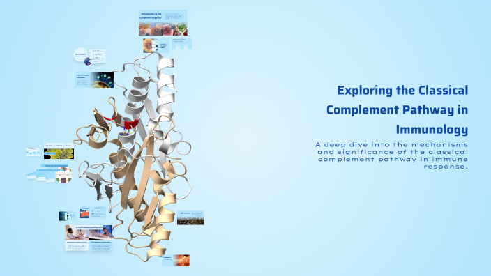 Exploring the Classical Complement Pathway in Immunology by Rho Pascua ...