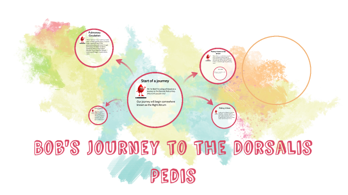 Blood Tracing by Brooke Gordon on Prezi