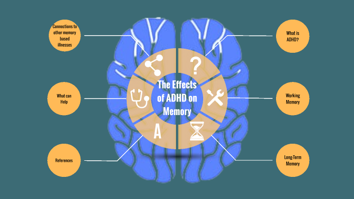 The Effects of ADHD on Memory by Grace Cawley on Prezi
