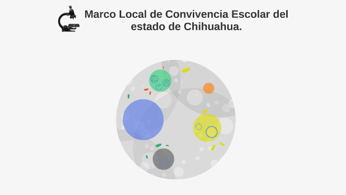 Marco Local de Convivencia Escolar del estado de Chihuahua. by Nora