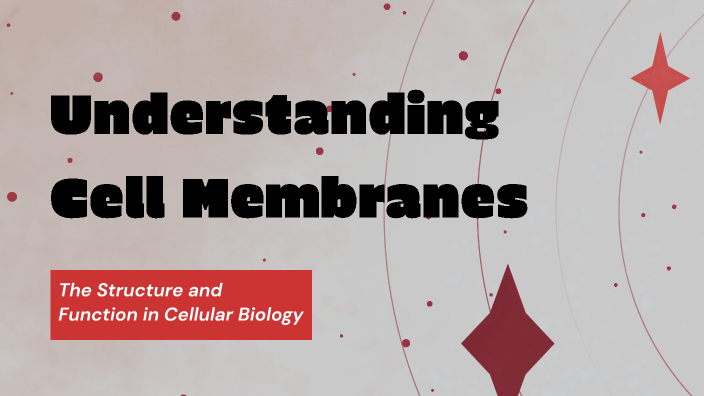 Understanding Cell Membranes by Aisha on Prezi
