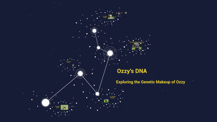 Unraveling Ozzy's Genetic Code by on Prezi