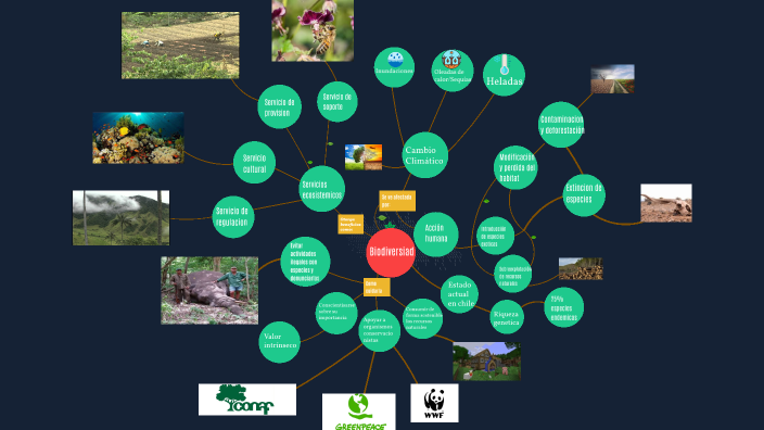 Mapa mental by . . on Prezi