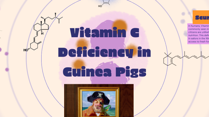 Picture of Vitamin C Deficiency in Guinea Pigs by Jensen Herron on Prezi