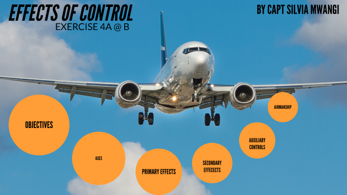 EFFECTS OF CONTROLS by Silvia Mwangi on Prezi