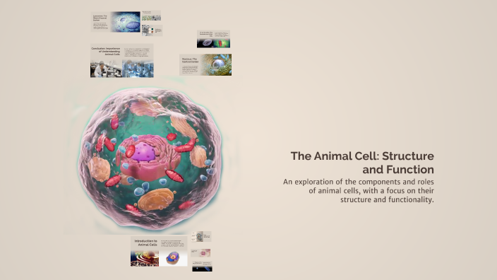 The Animal Cell: Structure and Function by Sedmaxxfoot1 Sedmax on Prezi