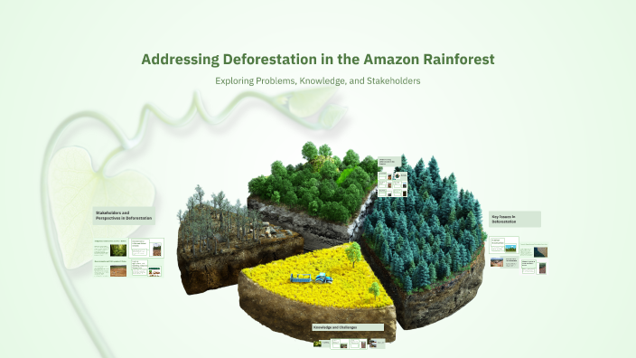 Addressing Deforestation in the Amazon Rainforest by Francis Casey on Prezi