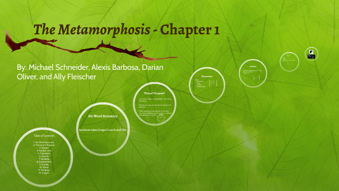 the metamorphosis summary