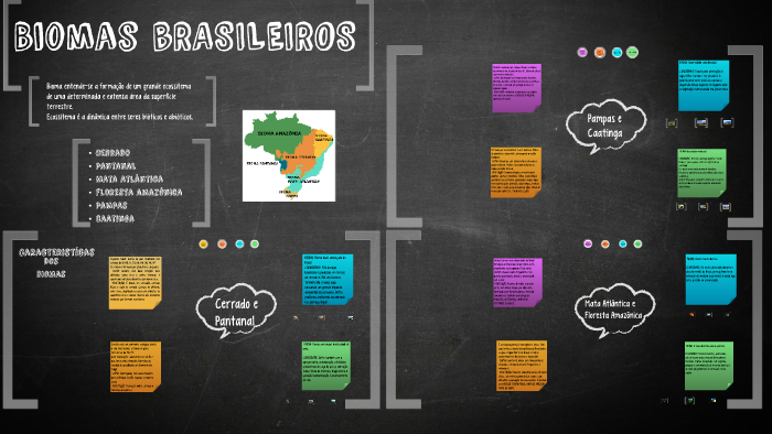 Biomas do Brasil by Julia Bellucco da Cruz on Prezi