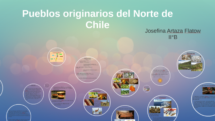 Pueblos Originarios Del Norte De Chile By Josefina Artaza