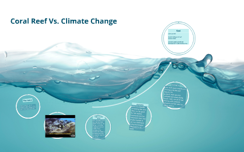 Coral Reef Vs. Climate Change by Hans Sun on Prezi