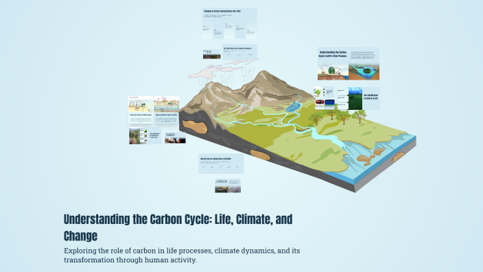 Understanding the Carbon Cycle: Life, Climate, and Change by Gavin L on ...