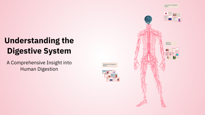 Understanding the Digestive System by Sadie Pasloski on Prezi
