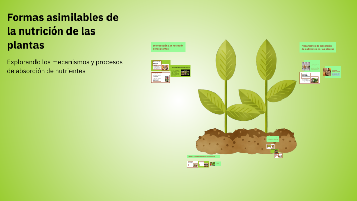 Formas asimilables de la nutrición de las plantas by Lizbeth Quispe