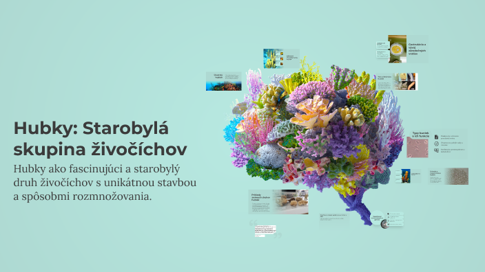 Hubky: Starobylá skupina živočíchov by Miroslava Plánková on Prezi