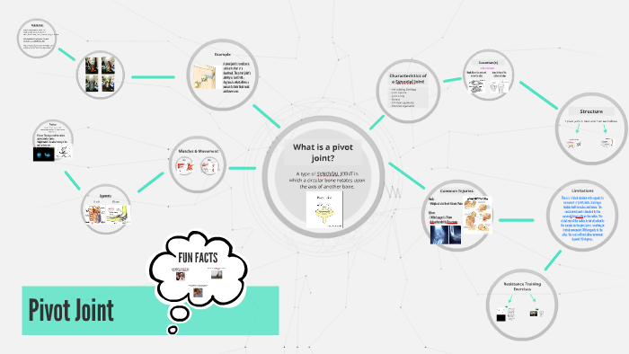 Pivot Joint by on Prezi