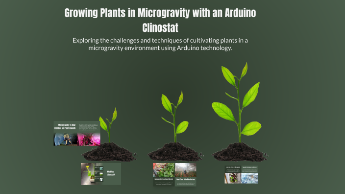 Growing Plants in Microgravity with an Arduino Clinostat by Tomas ...