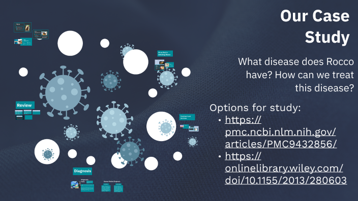 Case Study by Seth Freund on Prezi