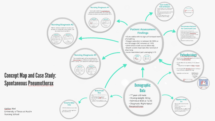 case study concept map