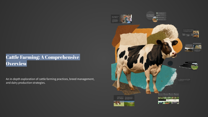 Cattle Farming: A Comprehensive Overview by anam .. on Prezi