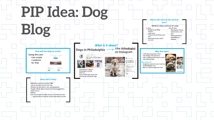 PIP Idea: Blog by on Prezi