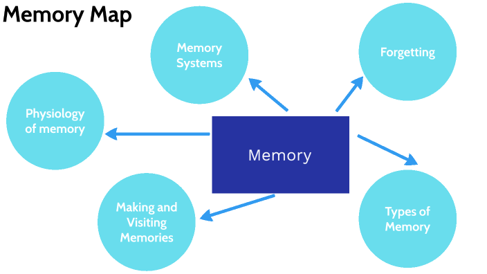 AP Psychology Memory Map by Vera Snead on Prezi