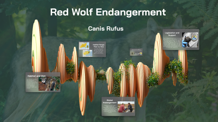 Red Wolf Endangerment by Bree Cooper on Prezi