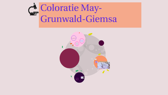 Coloratie May-Grunwald-Giemsa By Costea Camelia On Prezi