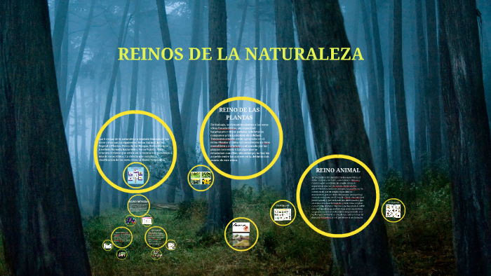 REINOS DE LA NATURALEZA by Mauricio Mora on Prezi