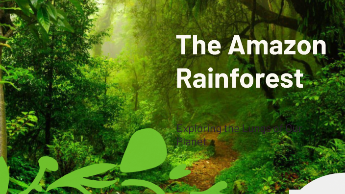 The Amazon Rainforest by Adam Azorbo on Prezi