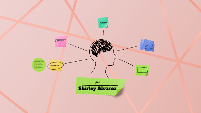 teoria curricular by shirley alvarez on Prezi