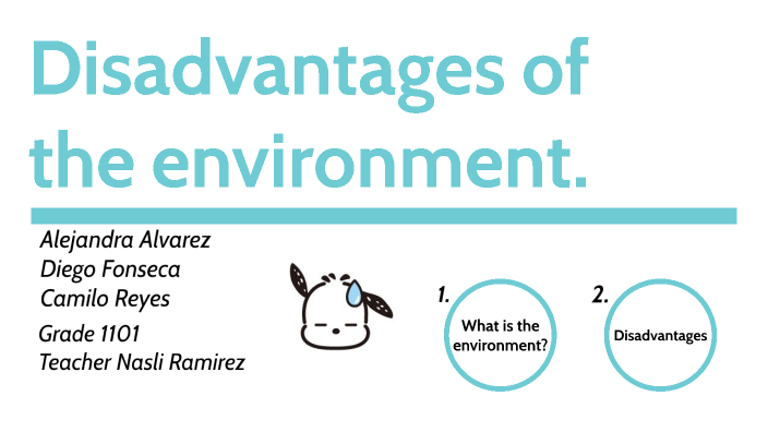 disadvantages of environment essay