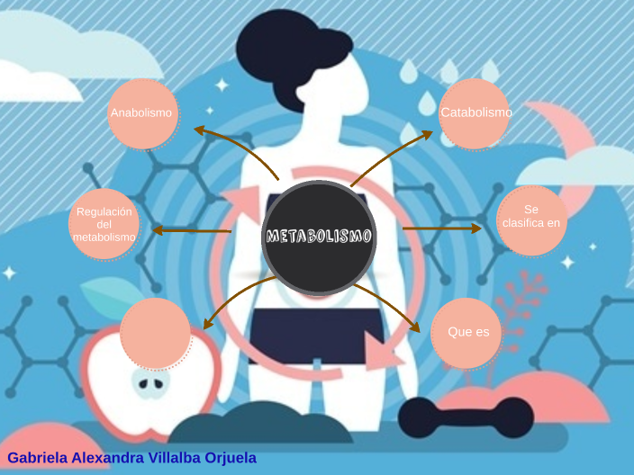 Mapa mental del metabolismo (Gabriela Villalba) by Gabriela Villalba on  Prezi Next