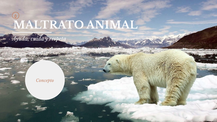 MALTRATO ANIMAL by Elena Esther Martens Martinez on Prezi