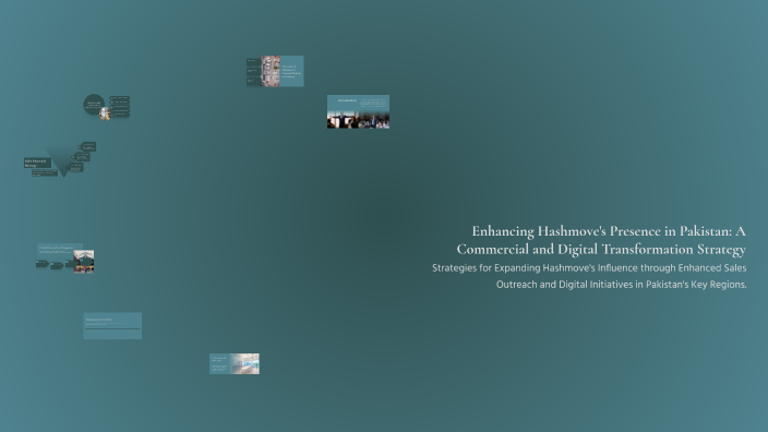 Enhancing Hashmove's Presence in Pakistan: A Commercial and Digital ...
