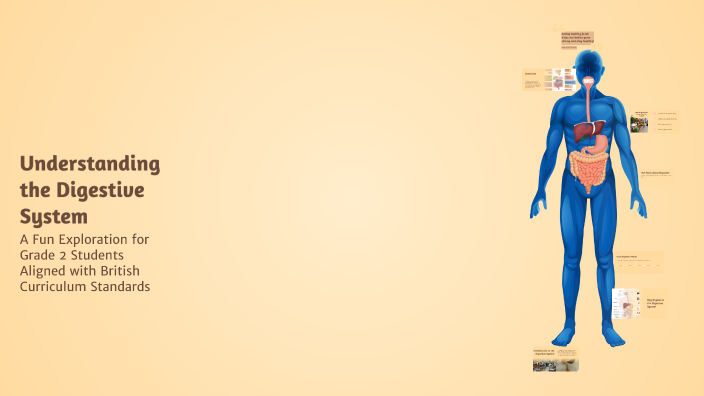 Understanding the Digestive System by Safiyya Osman on Prezi