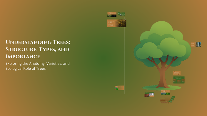 Understanding Trees: Structure, Types, and Importance by Moos Draaijer ...