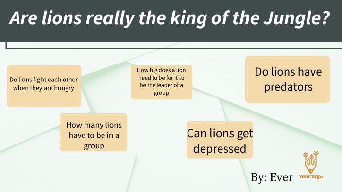 are lions really king of the jungle