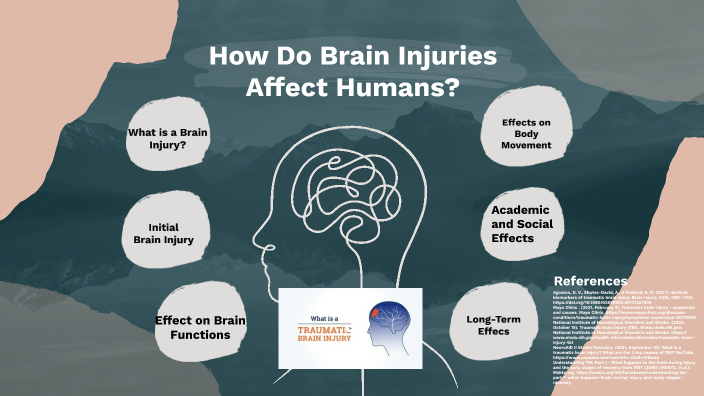 How Do Brain Injuries Affect Humans By Grace Routhier On Prezi