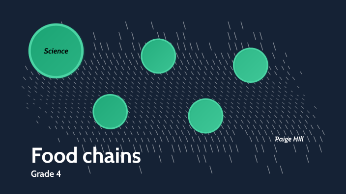 Food chains by Paige Hill on Prezi