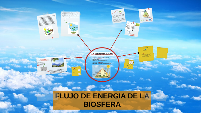 Flujo De Energia De La Biosfera