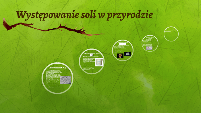 Występowanie soli w przyrodzie by Michał Litwinowicz on Prezi