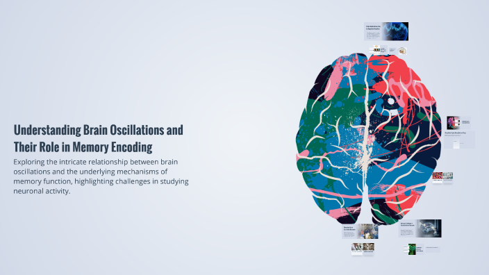 Encoding Memory Brain Understanding Brain Oscillations and Their Role in Memory Encoding by ...